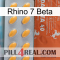 Rhino 7 Beta 43